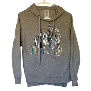 Disneyland resort metallic grey &purple hooded sweatshirt xs‎